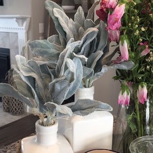 Meet your Posher, Kristin